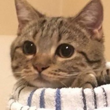 *-*