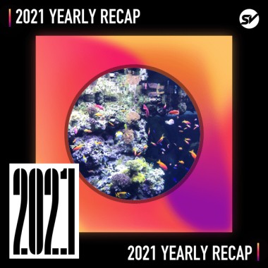 2021 個人年度精選之最