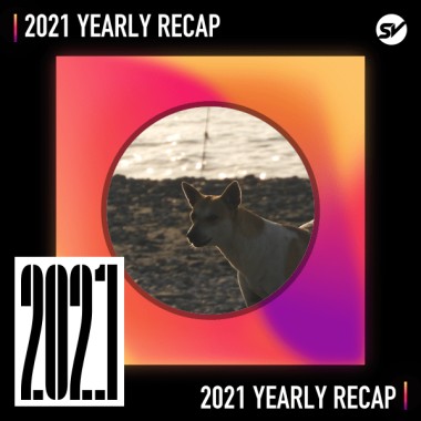 2021 個人年度精選之最
