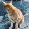 身體在路上