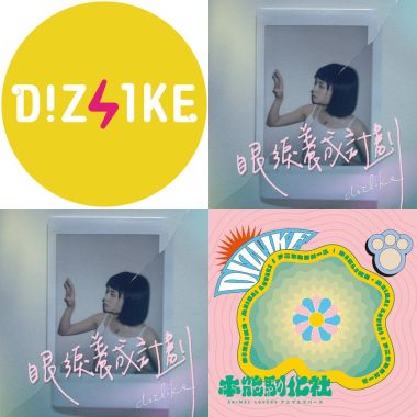 Dizlike