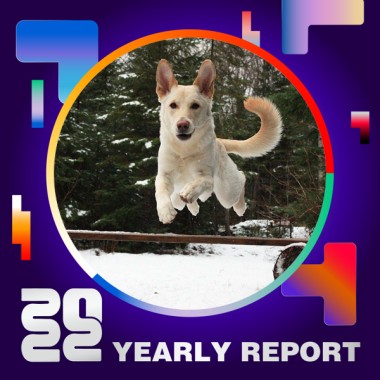2022 個人年度精選