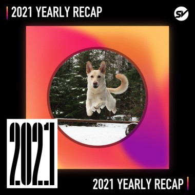 2021 個人年度精選之最