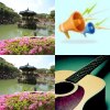 主大明敬拜讚美選曲