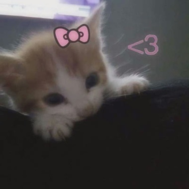 づ♡ど