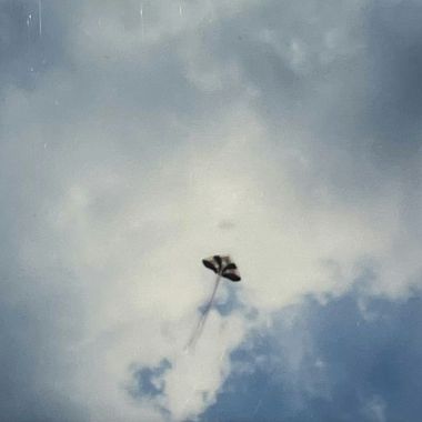 好歌↪不断