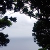 抒發⛈️