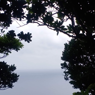 抒發⛈️