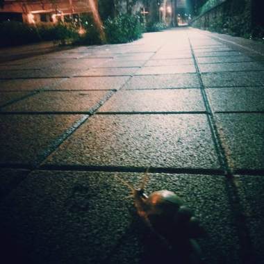 深夜沈思