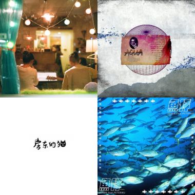 我的歌單  