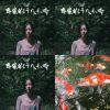 扶土成牆 vol.14