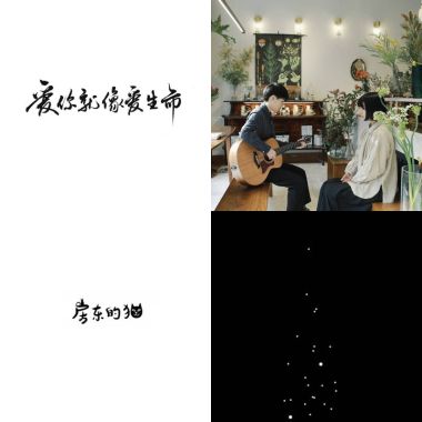 房東的貓 <3