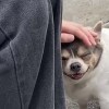 蘇湖