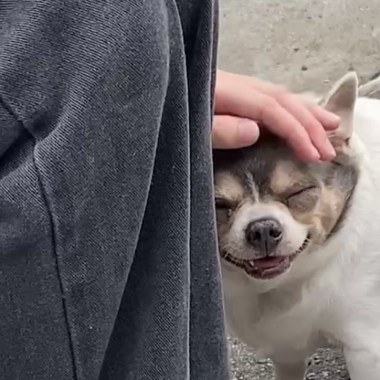 蘇湖