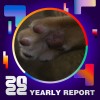 2022 個人年度精選