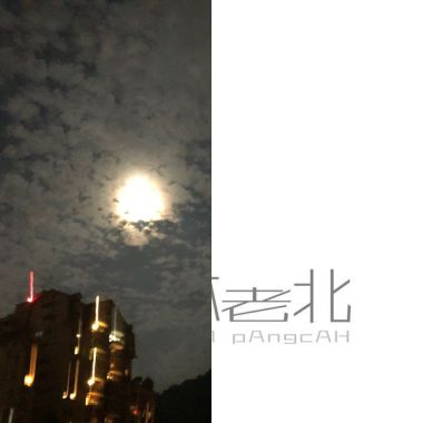 我的歌单