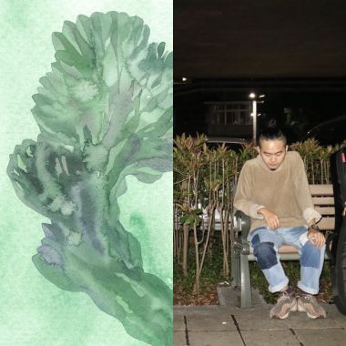 優雅