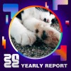 2022 個人年度精選