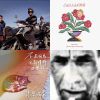 My Playlist  