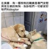 抱抱