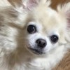對著鏡子說