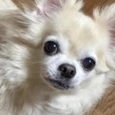 對著鏡子說
