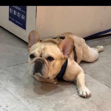 ??