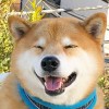 ［睡之必要］