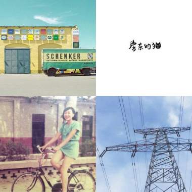 房東的貓