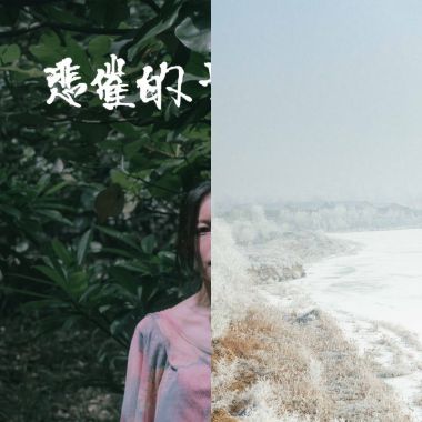 不加糖