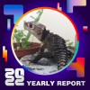 2022 個人年度精選