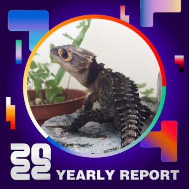 2022 個人年度精選