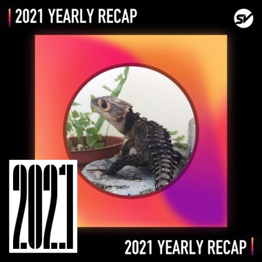 2021 個人年度精選之最