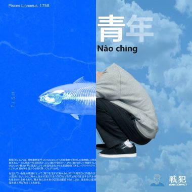 我的歌單  