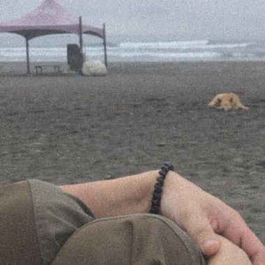 未來歌王
