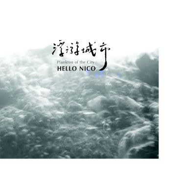 Hello Nico