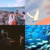 我的歌單 3