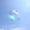 hi圆仔