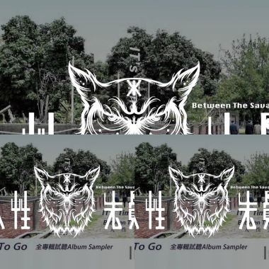 我的歌單  