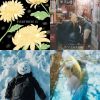 Playlist