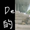 聽歌