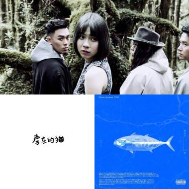 房東的貓