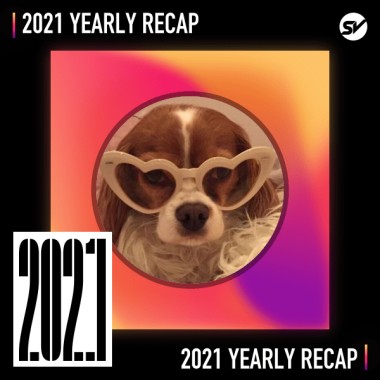 2021 個人年度精選之最