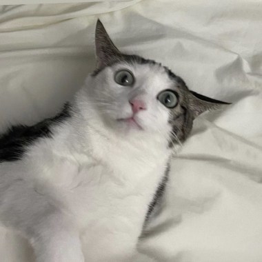 ?