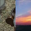 我的歌單 1
