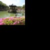 詩歌