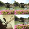 讚美歌