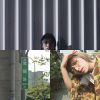 我的歌單 1