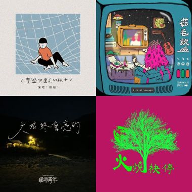 人间观察记录簿