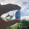 寶藏歌曲?